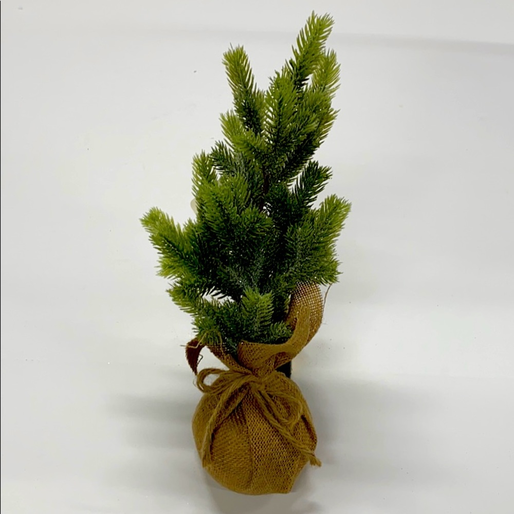 Mini Christmas Tree in Burlap